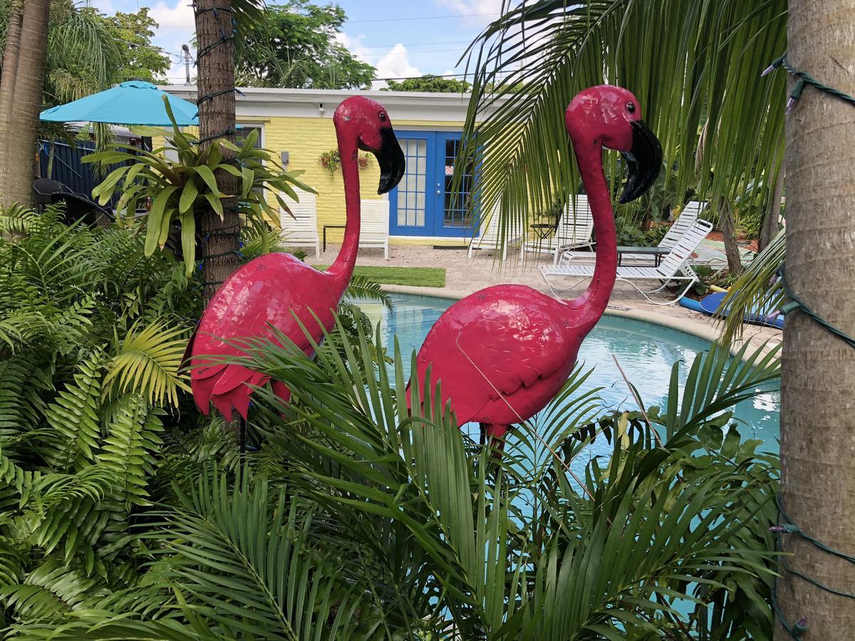 Calypso Inn Wilton Gay Male Resort Wilton Manors Exterior photo